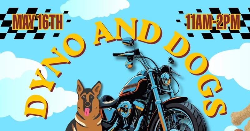 Dyno and Dogs